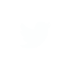 image.icon_Twitter.png